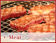 Meat